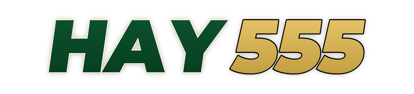 hay555